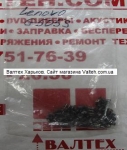 Болтики для ноутбука Lenovo G500s, G505s